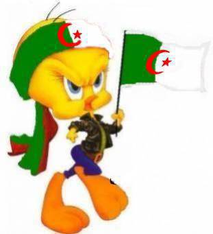 algerie en force tkt
